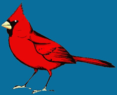 Cardinal