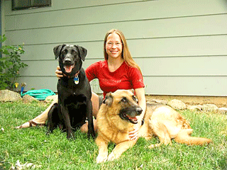 Jacque's Dogs & Mick's Granddogs!