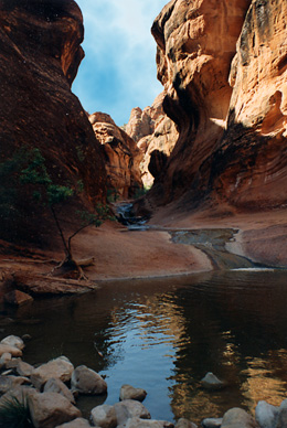 Hidden Grotto