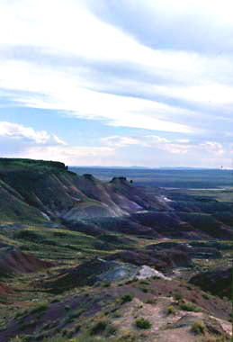 The Painted Desert