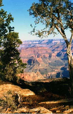 South Rim